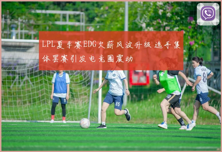 LPL夏季赛EDG欠薪风波升级 选手集体罢赛引发电竞圈震动