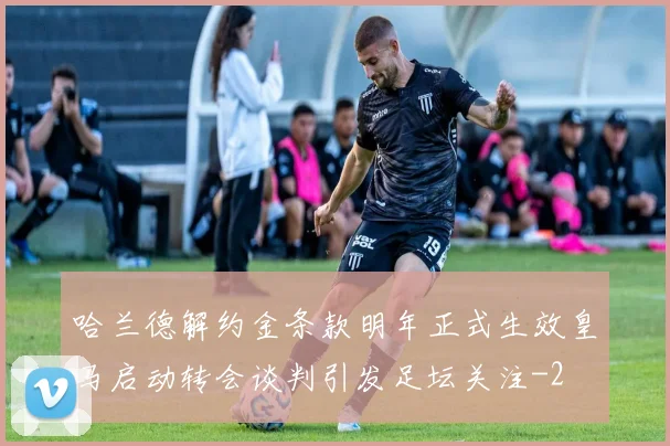 哈兰德解约金条款明年正式生效皇马启动转会谈判引发足坛关注