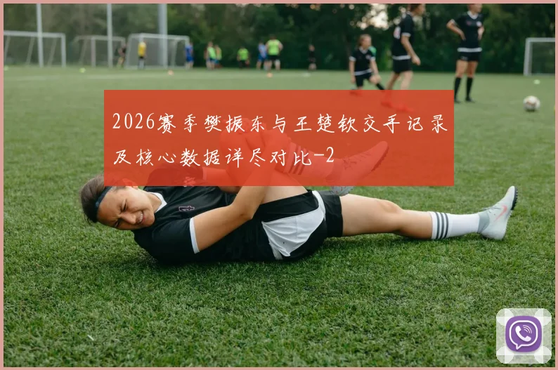 2026赛季樊振东与王楚钦交手记录及核心数据详尽对比
